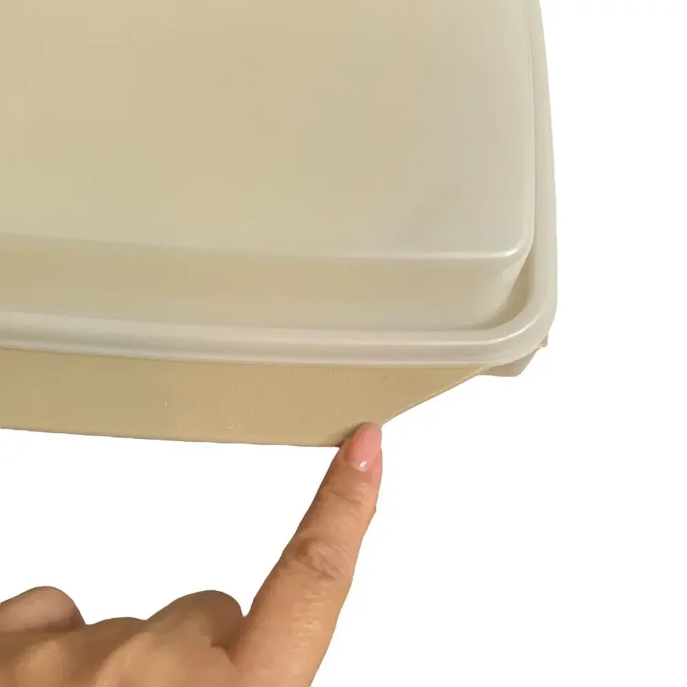 Vintage 70's Tupperwear  Beige Container for Deviled Eggs with ONE egg insert